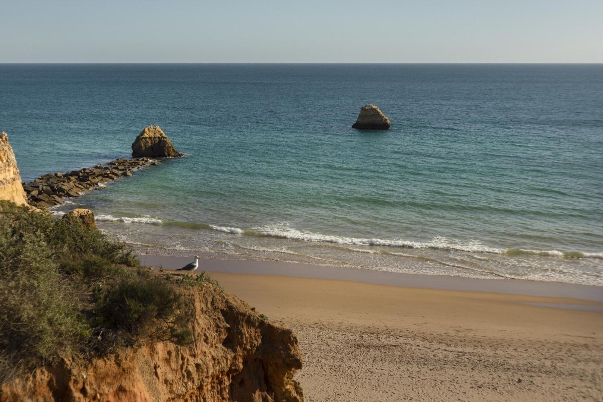 New - Portimao Casinha Apartment Екстериор снимка